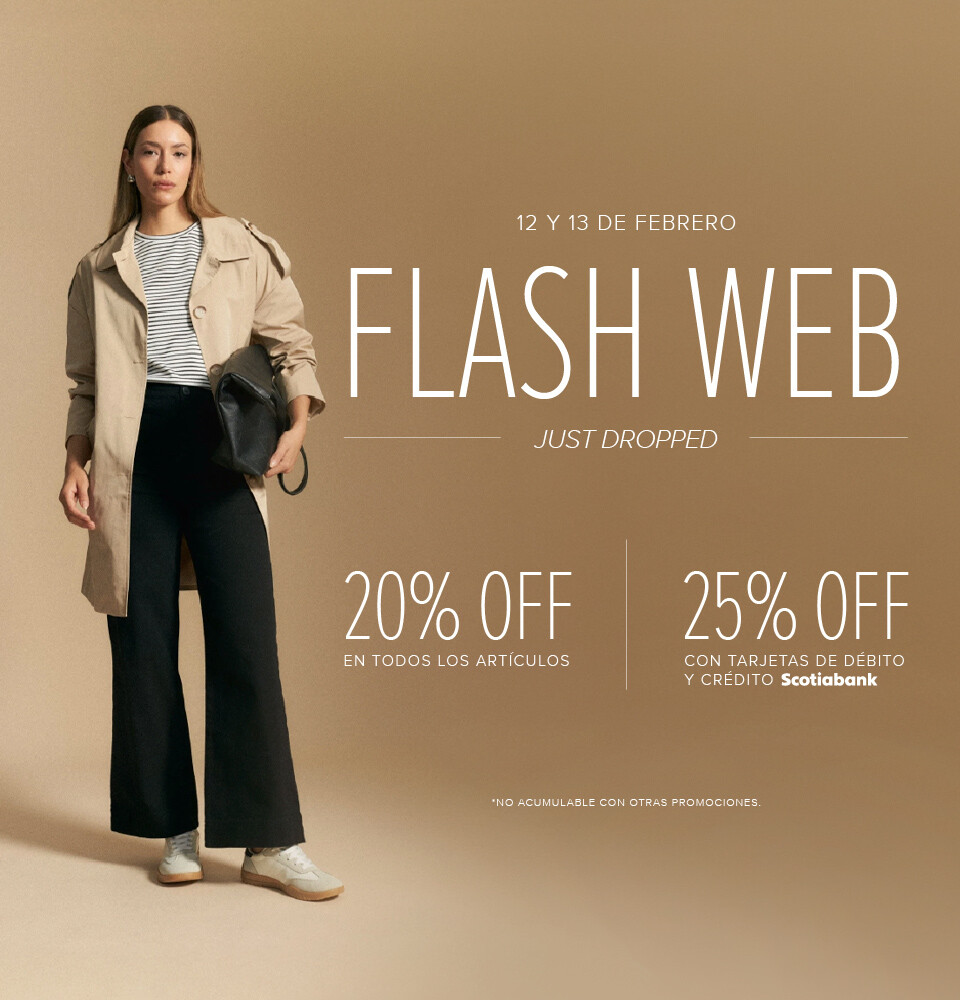 FLASH WEB
