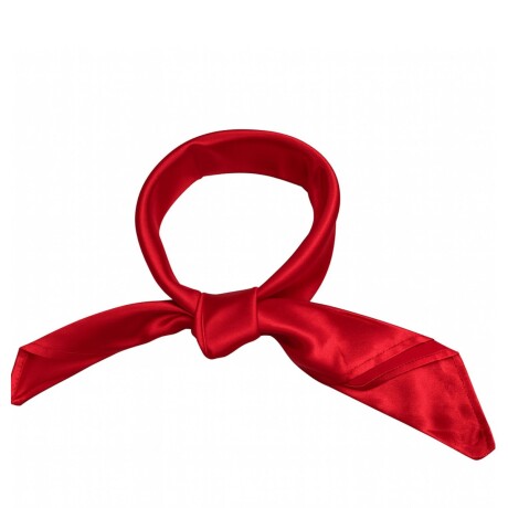 Pañuelos de seda Rojo