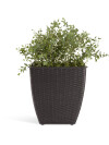Maceta ISLOM 38x38x39 variado Maceta ISLOM 38x38x39 variado