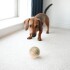 PELOTA MACIZA RESISTENTE DE GOMA SMALL FERPLAST PELOTA MACIZA RESISTENTE DE GOMA SMALL FERPLAST