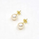 7.5 mm Caravanas De Oro 18 K Y Perlas 7.5 mm Caravanas De Oro 18 K Y Perlas