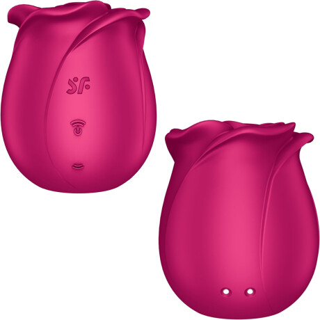 Succionador Satisfyer Pro 2 Modern Blossom Succionador Satisfyer Pro 2 Modern Blossom