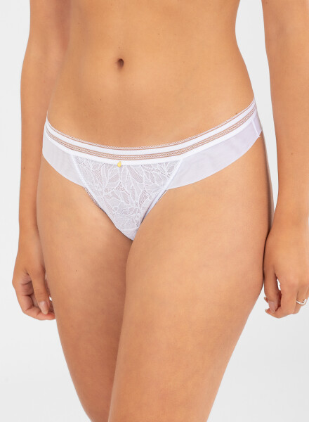 Colaless helecho Blanco