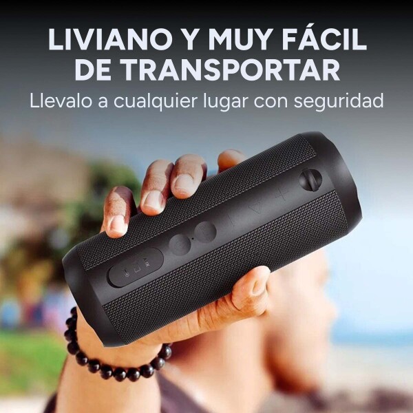 Parlante Bluetooth Portátil Mifa E6L Inalámbrico IPX8 30W Color Negro