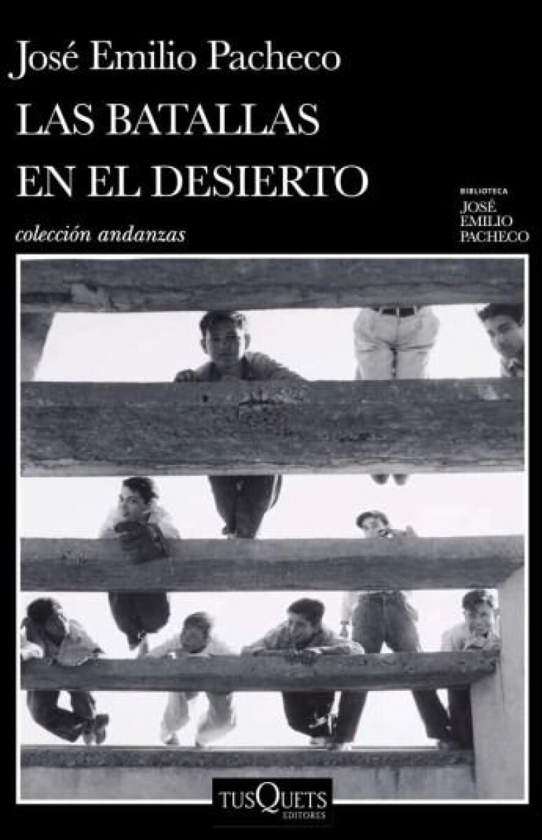 LAS BATALLAS DEL DESIERTO 