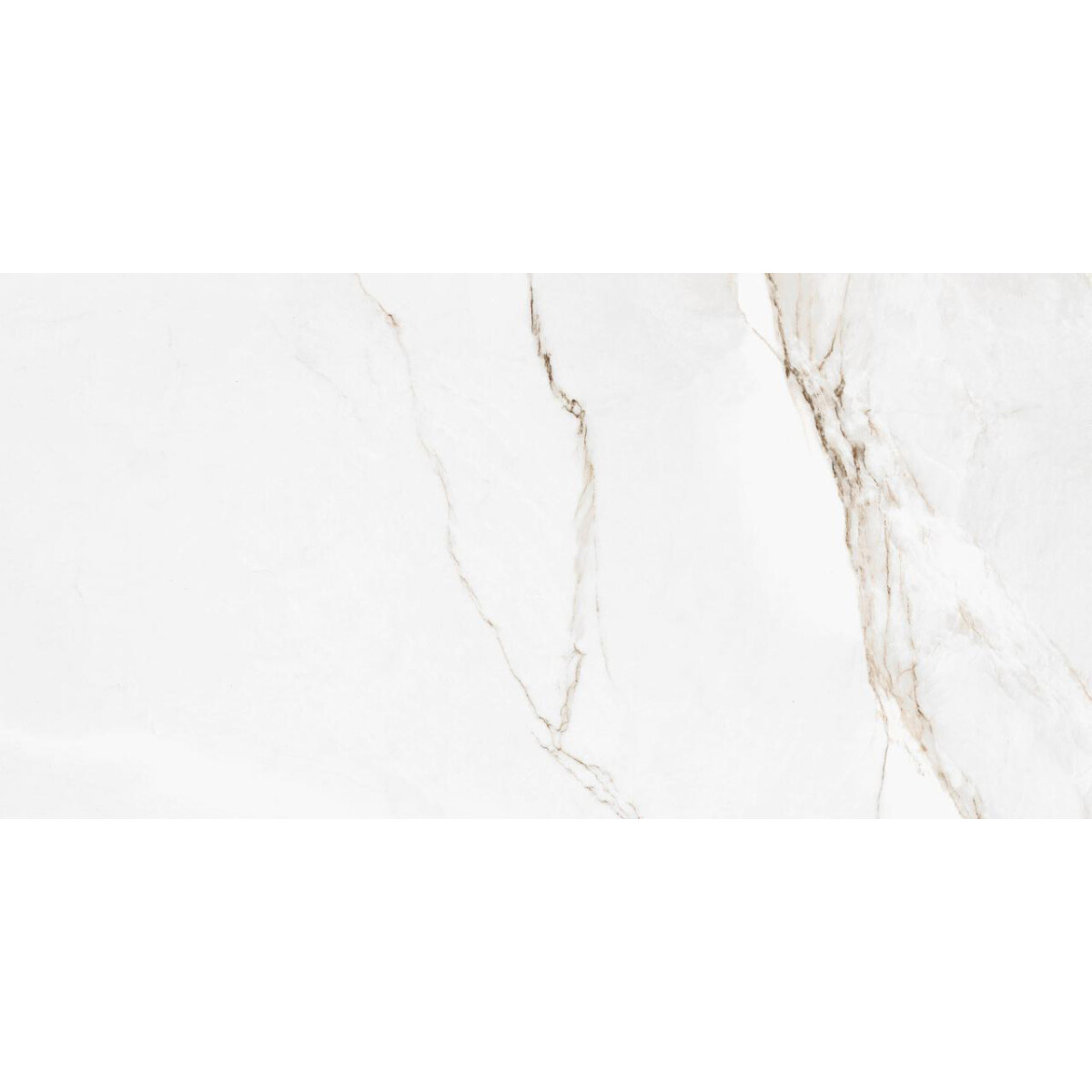 Porcelanato Branco Parana Esm Pol "a" 60x120 Cm 