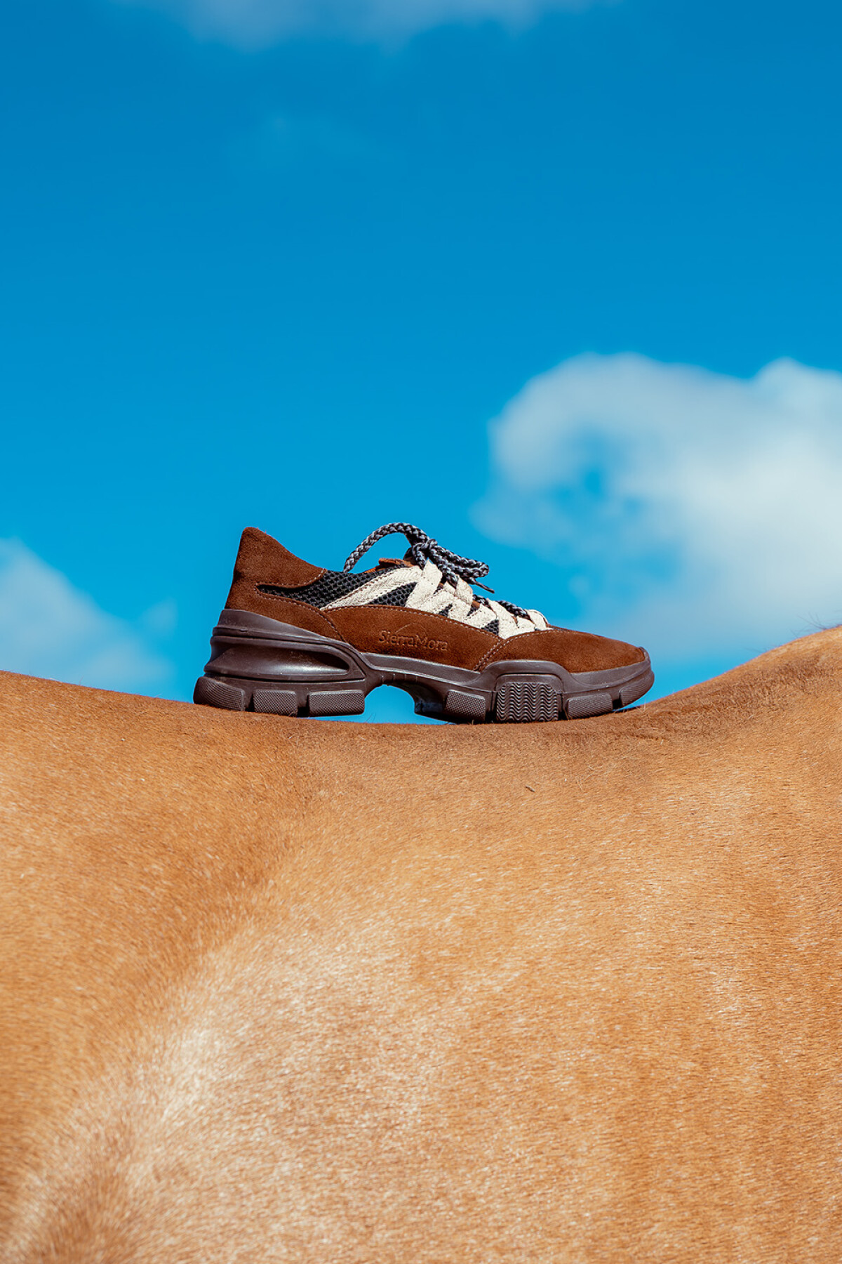 Capitán Shoes Chocolate