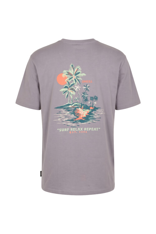 Remera O'Neill Oceanside Gris