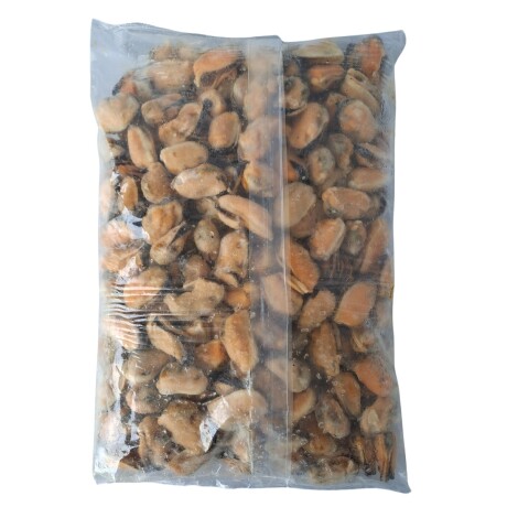 Congelados Ártico Carne de Mejillón Chileno 200/300 1 KG 001