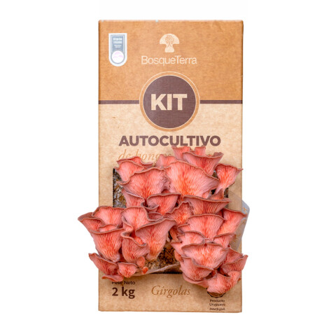 Kit autocultivo girgolas rosadas Bosqueterra Kit Autocultivo Rosado Bosque