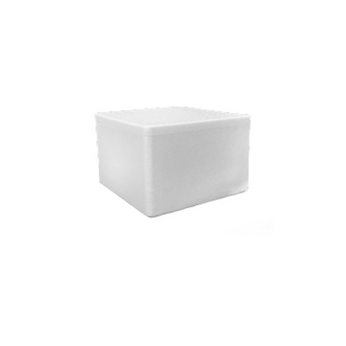 HELADERA ESPUMA 37,7X37,7X23 CM - 15 LTS 