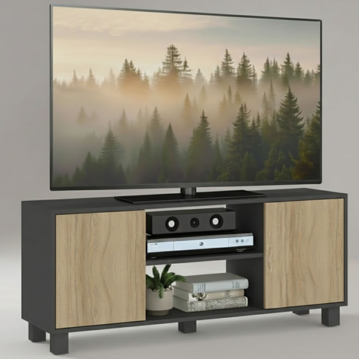 Mueble Rack de Tv Hasta 50" Manhattan de Piso con 2 Puertas y Estantes 120 cm de Ancho - Manchester / Grafito 