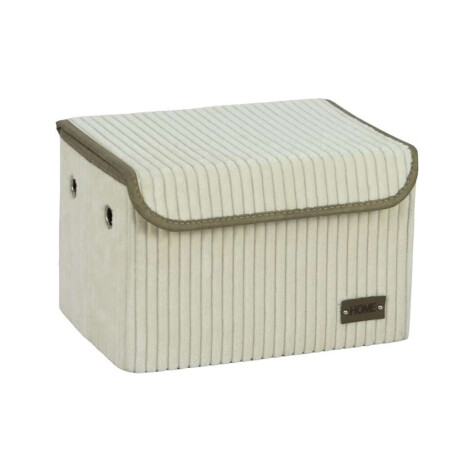 Caja Organizador Rec C/Tapa 30X20Xh20Cm Pana Crudo