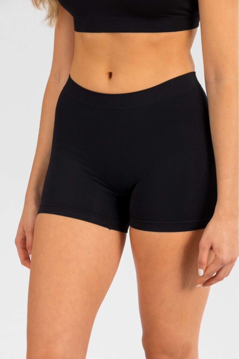 Boxer chicory - Negro 
