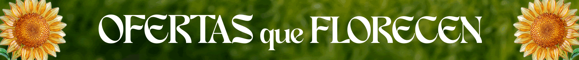 PRIMAVERA TODOS LOS CANALES