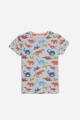 Remera dinosaurios GRIS