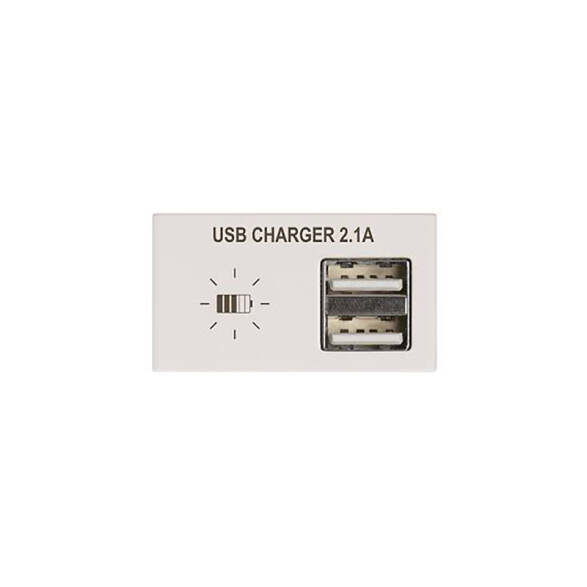 Módulo cargador p/2 USB 2,1A Duomo blanco C57928