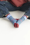 Socks Rule Celeste