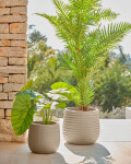 Set Sory de 2 macetas de terracota con acabado gris Ø 28 cm / Ø 36 cm Set Sory de 2 macetas de terracota con acabado gris Ø 28 cm / Ø 36 cm