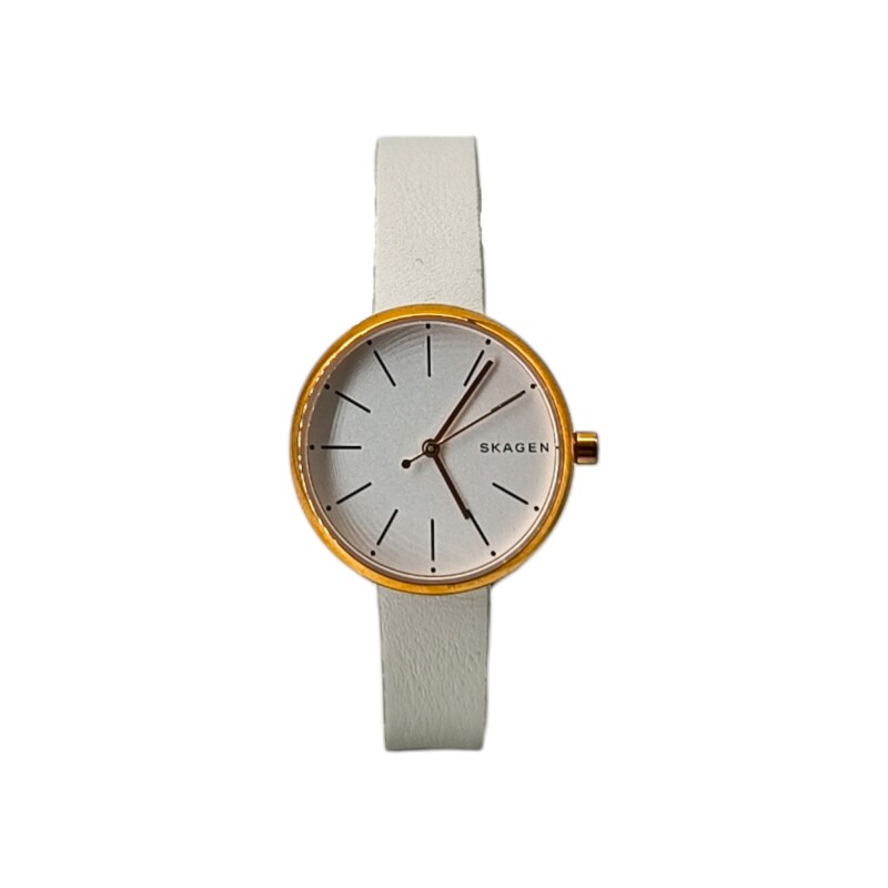 SKAGEN SKW2595 doradouniforme