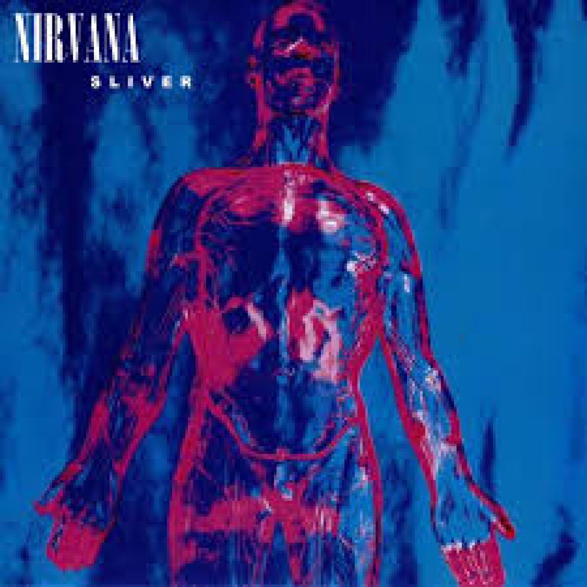 (l) Nirvana- Sliver - Vinilo 