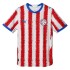 Camiseta Puma Paraguay Oficial Home 2026 L