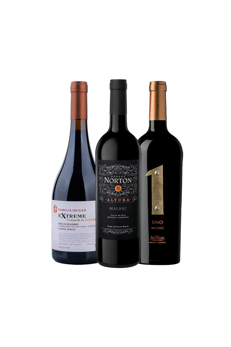 Pack Bacán Selección de Momentos - Para disfrutar sin apuro x3 vinos 