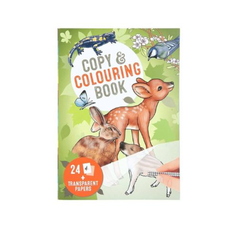 Copy And Coloring Book Copy And Coloring Book
