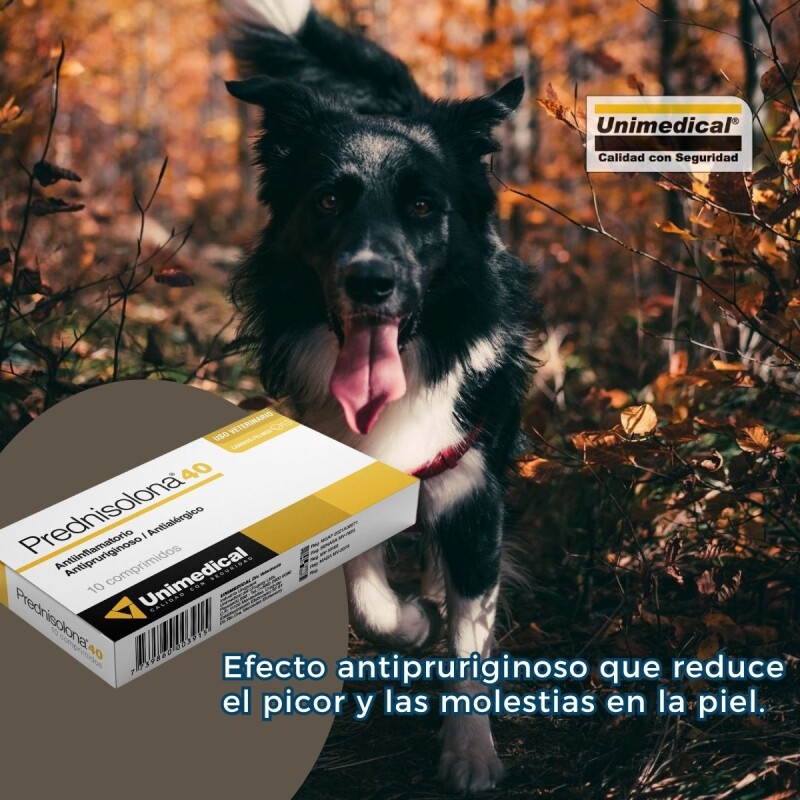 PREDNISOLONA 40 MG X CAJA DE 10 COMPRIMIDOS PREDNISOLONA 40 MG X CAJA DE 10 COMPRIMIDOS