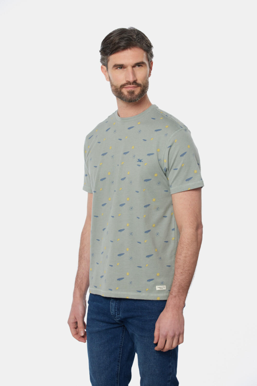 REMERA ESTAMPADA Pistacho