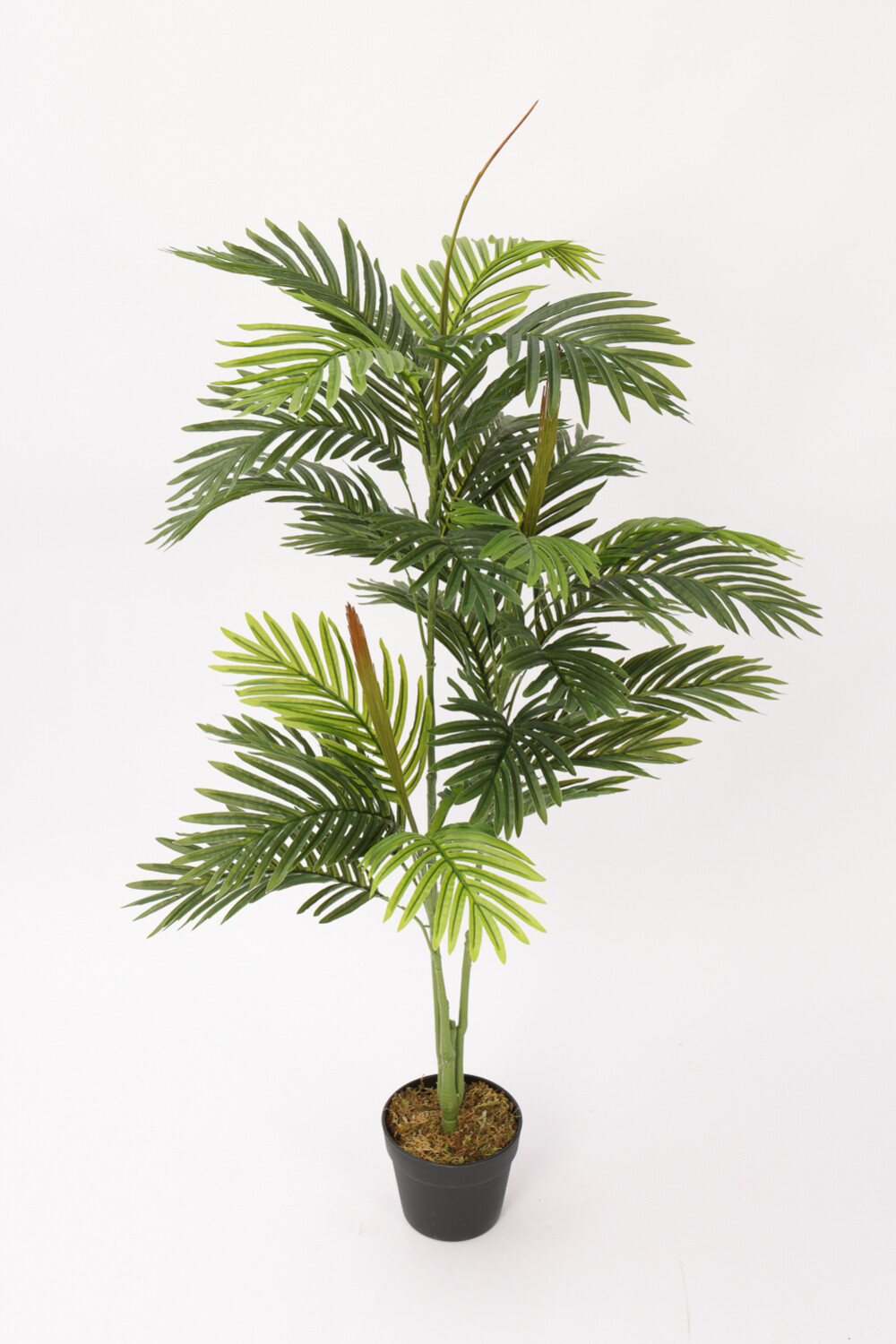 Planta Palmera Areca 85cm Color Unico