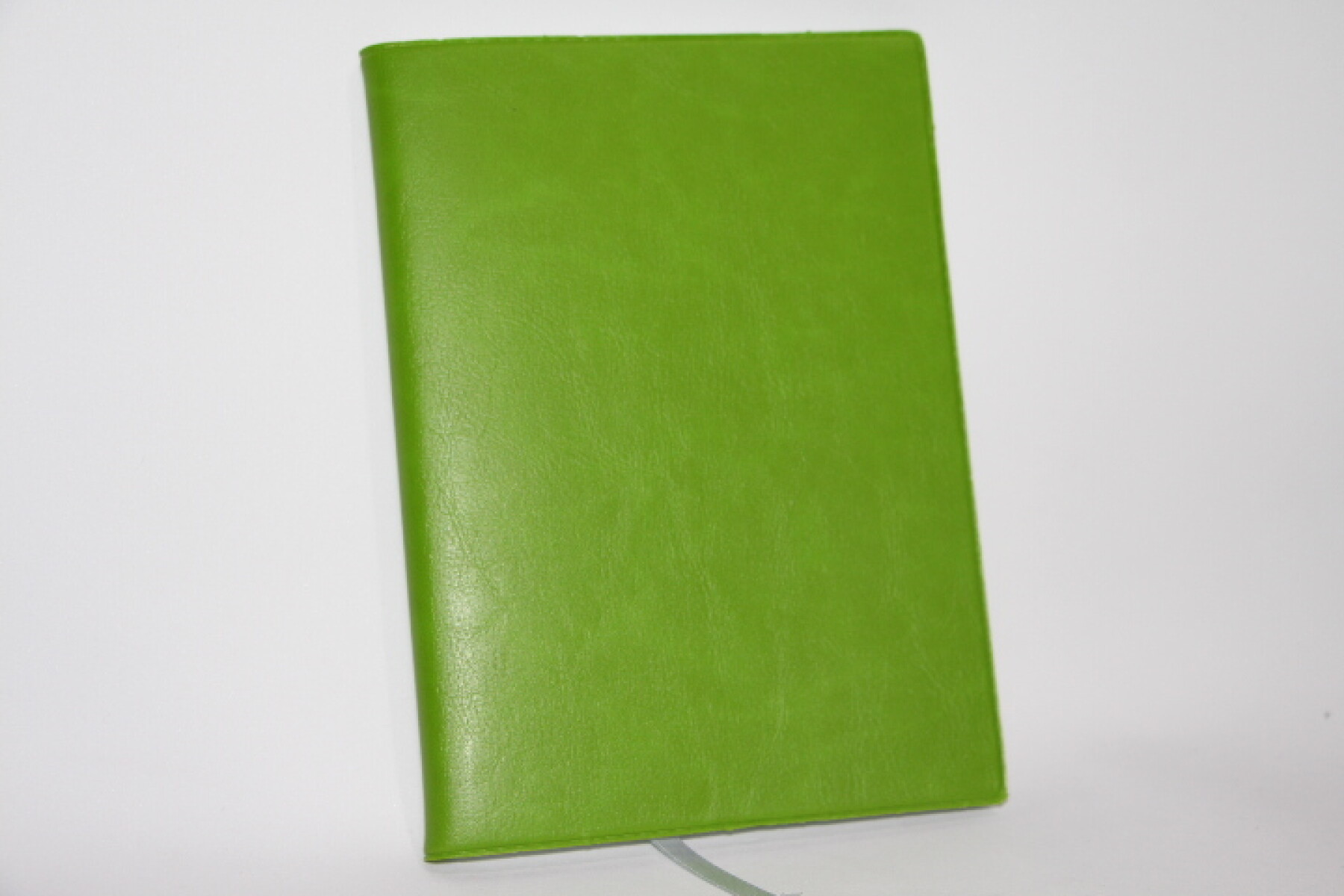 AGENDA REMEMBER FORUM FIR.1301 - COLOR VERDE CLARO 