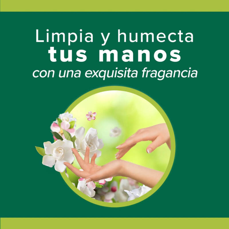Jabón Líquido Palmolive Camelia Doypack 900 Ml. Jabón Líquido Palmolive Camelia Doypack 900 Ml.