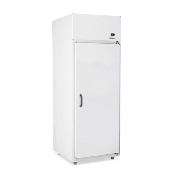 Cámara Dual para Hielo o Pan Congelado 950 L | Gelopar GMPG-950 Cámara Dual para Hielo o Pan Congelado 950 L | Gelopar GMPG-950
