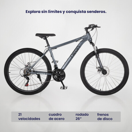 Bicicleta Montaña 26 Cuadro Acero Freno Disco 21 Cambios Gris