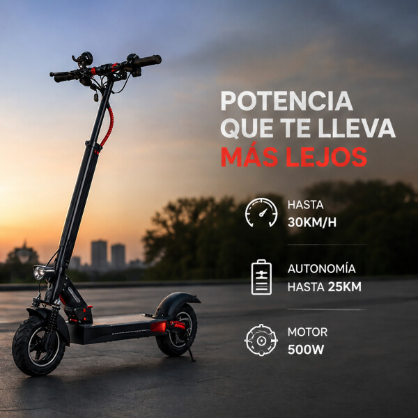 Monopatin Electrico Scooter Pro Gogreen Silence R10 30Km/h Variante Color Negro