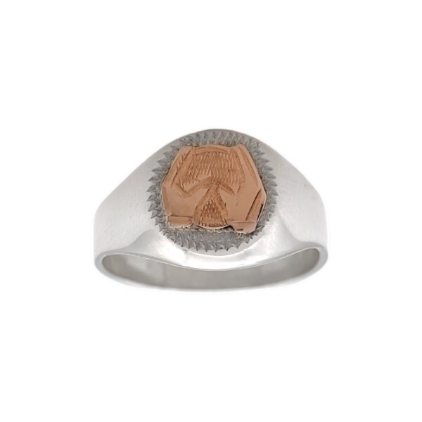 Anillo Profesión Masajista-Plata y Oro-Sin Piedra-AP5010 Sinpiedra