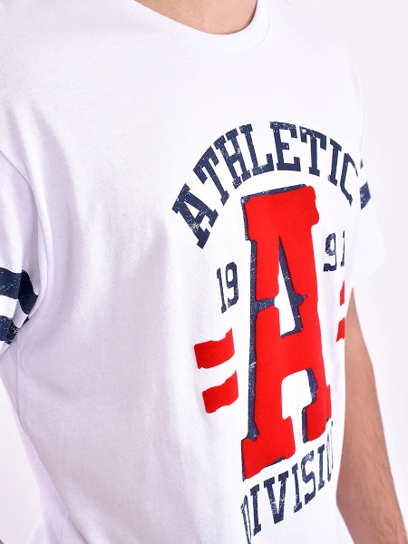 REMERA VARSITY REGULAR ESTAMPADO 1