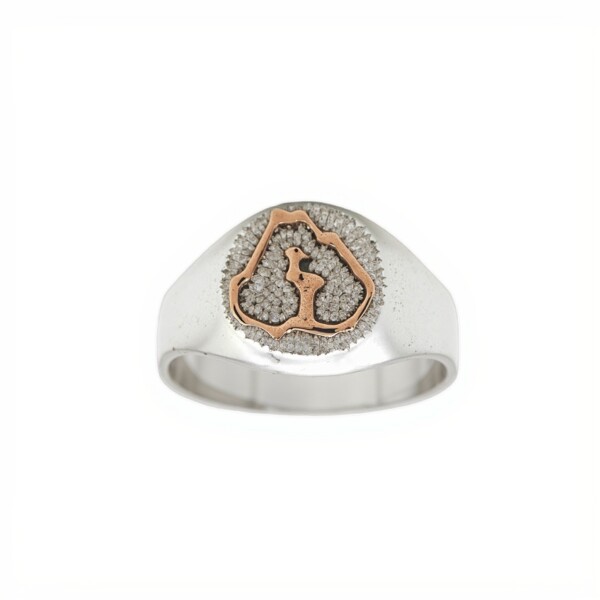 Anillo Profesión Ingeniero agrónomo-Plata y Oro-Sin Piedra-AP5009 sinpiedra