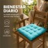 Almohadon Cuadrado Para Silla Eames Butaca Auto Colores Celeste