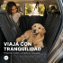 Funda Cubre Asiento Auto Mascotas Perro Impermeable Premium Funda Cubre Asiento Auto Mascotas Perro Impermeable Premium
