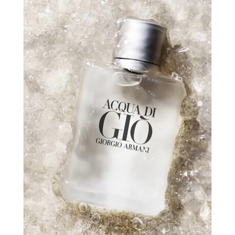 Perfume Giorgio Armani Acqua Di Gio EDT 100ml Original 100 mL