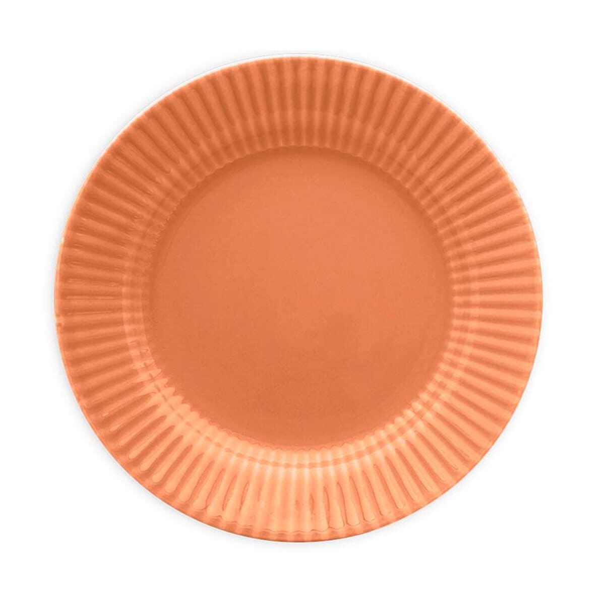 Plato hondo Salmao 21.5 cm BIONA 