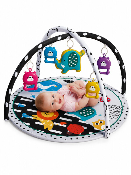 GIMNASIO PARA BEBES MULTICOLOR