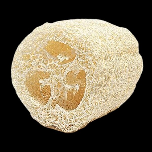 Esponja Vegetal Trozo - Natural Exfoliante Esponja Vegetal Trozo - Natural Exfoliante
