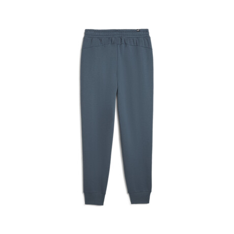 ESS Logo Pants FL cl 58671537 Gris