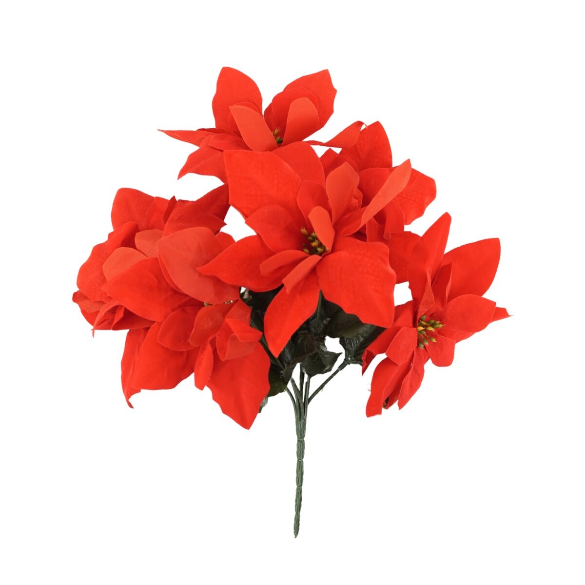 Ramo de siete flores estrella federal 