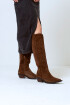 Texa Brownie