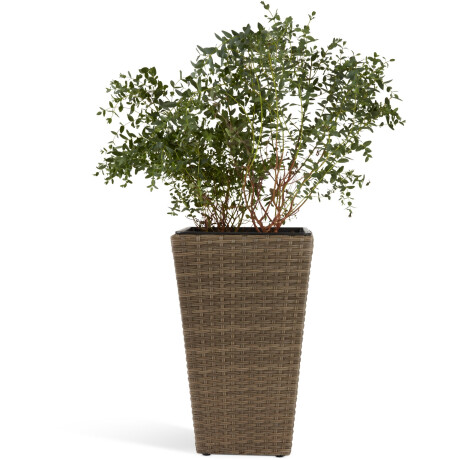 Maceta BLOMMOR A31xL31xA50 nat Natural