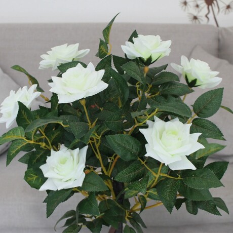 Árbol Rosal Blanco Tronco Trenzado Árbol Rosal Blanco Tronco Trenzado